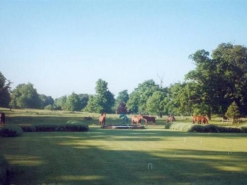 فندق Thornham Hall Thornham Magna المظهر الخارجي الصورة